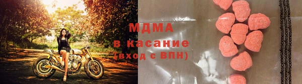 шишки Алексеевка