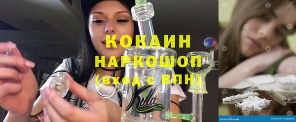 стафф Алексин