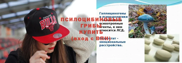 шишки Алексеевка