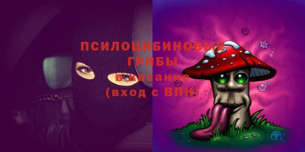 стафф Алексин