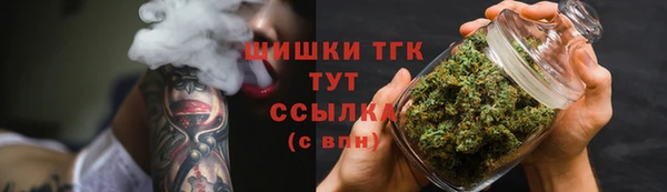 шишки Алексеевка