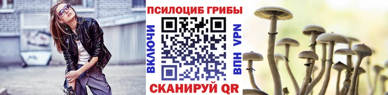 наркошоп  blacksprut маркетплейс  Псилоцибиновые грибы мухоморы  Карабулак 